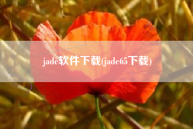 jade软件下载(jade65下载)