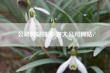 公司网站排名(各大公司网站)