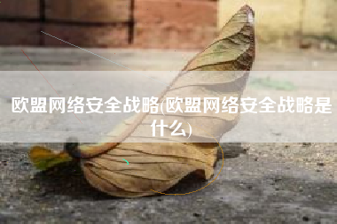 欧盟网络安全战略(欧盟网络安全战略是什么)