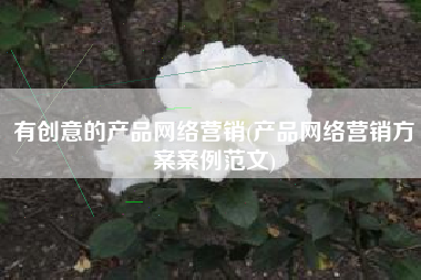 有创意的产品网络营销(产品网络营销方案案例范文)