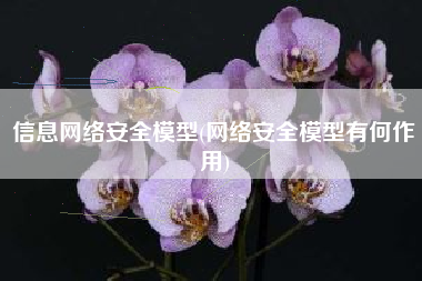 信息网络安全模型(网络安全模型有何作用)