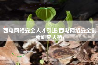 西电网络安全人才引进(西电网络安全创新研究大楼)