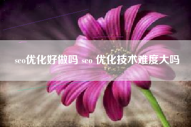 seo优化好做吗 seo 优化技术难度大吗
