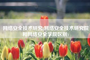 网络安全技术研究(网络安全技术研究院和网络安全学院区别)