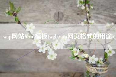 wap网站html模板(web,wap网页格式的用途)