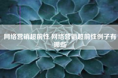 网络营销超前性 网络营销超前性例子有哪些