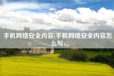 手机网络安全内容(手机网络安全内容怎么写)