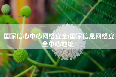 国家信心中心网络安全(国家信息网络安全中心地址)
