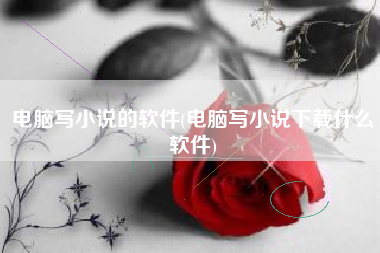 电脑写小说的软件(电脑写小说下载什么软件)