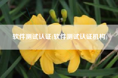 软件测试认证(软件测试认证机构)