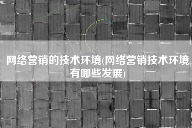 网络营销的技术环境(网络营销技术环境有哪些发展)