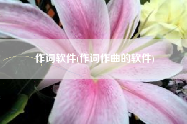 作词软件(作词作曲的软件)