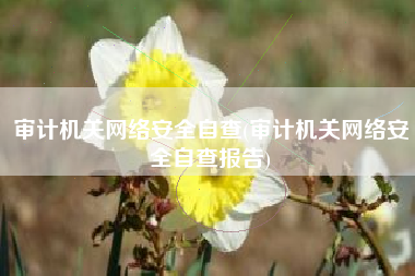 审计机关网络安全自查(审计机关网络安全自查报告)