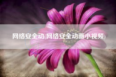 网络安全动(网络安全动画小视频)