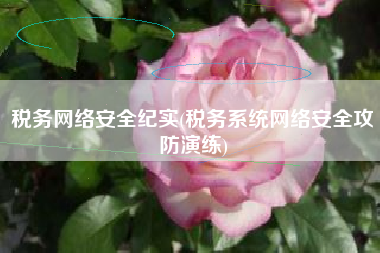 税务网络安全纪实(税务系统网络安全攻防演练)