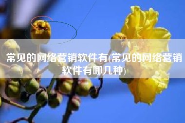 常见的网络营销软件有(常见的网络营销软件有哪几种)