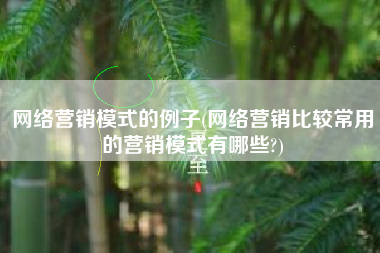 网络营销模式的例子(网络营销比较常用的营销模式有哪些?)