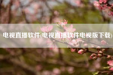 电视直播软件(电视直播软件电视版下载)