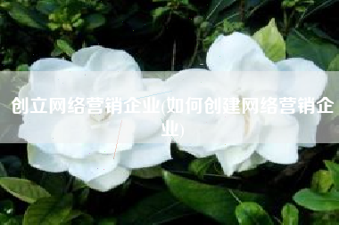 创立网络营销企业(如何创建网络营销企业)