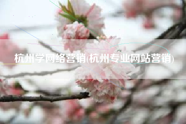 杭州学网络营销(杭州专业网站营销)
