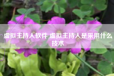 虚拟主持人软件 虚拟主持人是采用什么技术