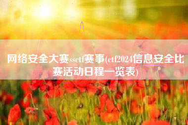 网络安全大赛ssctf赛事(ctf2024信息安全比赛活动日程一览表)
