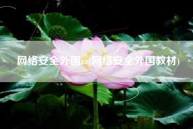 网络安全外国za(网络安全外国教材)