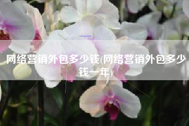 网络营销外包多少钱(网络营销外包多少钱一年)