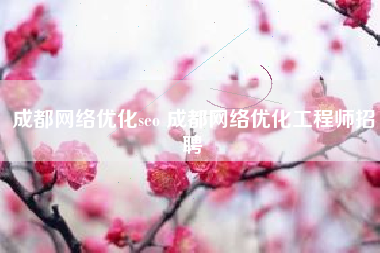 成都网络优化seo 成都网络优化工程师招聘