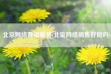 北京网络营销服务(北京网络销售好做吗)