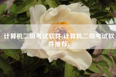 计算机二级考试软件(计算机二级考试软件推荐)