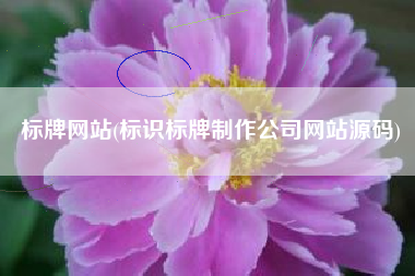 标牌网站(标识标牌制作公司网站源码)