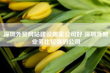 深圳外贸网站建设哪家公司好 深圳外贸业务比较强的公司