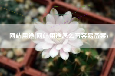 网站用途(网站用途怎么写容易备案)