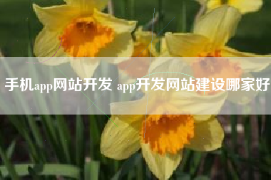 手机app网站开发 app开发网站建设哪家好