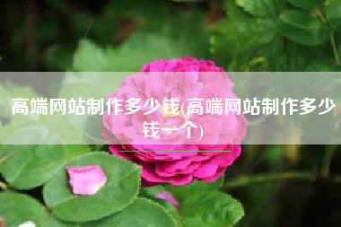 高端网站制作多少钱(高端网站制作多少钱一个)