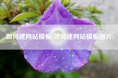 如何建网站模板(如何建网站模板图片)