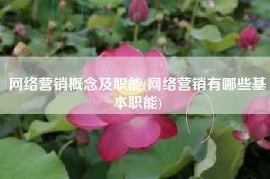 网络营销概念及职能(网络营销有哪些基本职能)