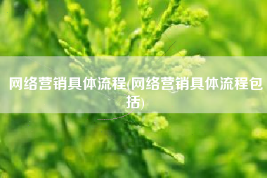 网络营销具体流程(网络营销具体流程包括)