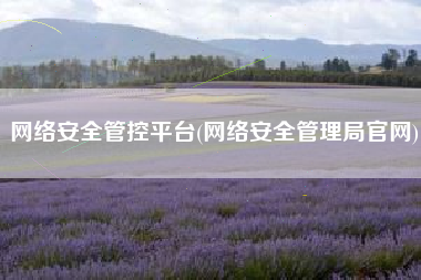 网络安全管控平台(网络安全管理局官网)