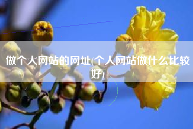 做个人网站的网址(个人网站做什么比较好)
