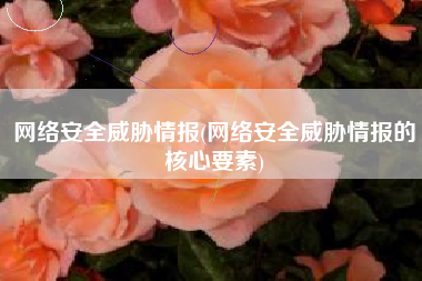 网络安全威胁情报(网络安全威胁情报的核心要素)