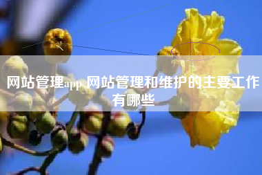 网站管理app 网站管理和维护的主要工作有哪些