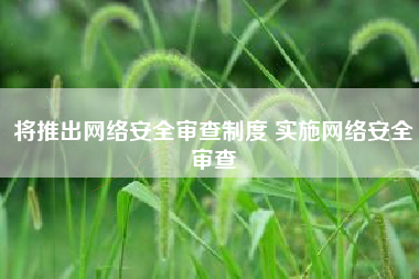 将推出网络安全审查制度 实施网络安全审查