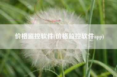 价格监控软件(价格监控软件app)