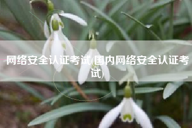 网络安全认证考试(国内网络安全认证考试)