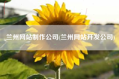 兰州网站制作公司(兰州网站开发公司)