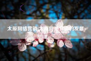 太原网络营销(太原网络营销的发展)
