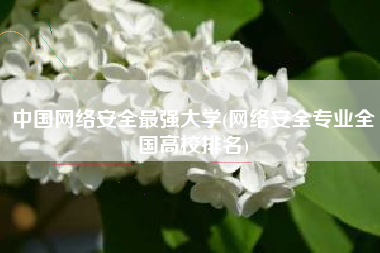 中国网络安全最强大学(网络安全专业全国高校排名)