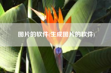 图片的软件(生成图片的软件)